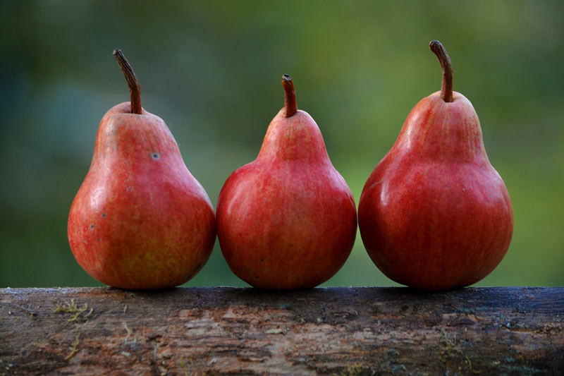 Digestive Troubles? Poached Pears to the Rescue