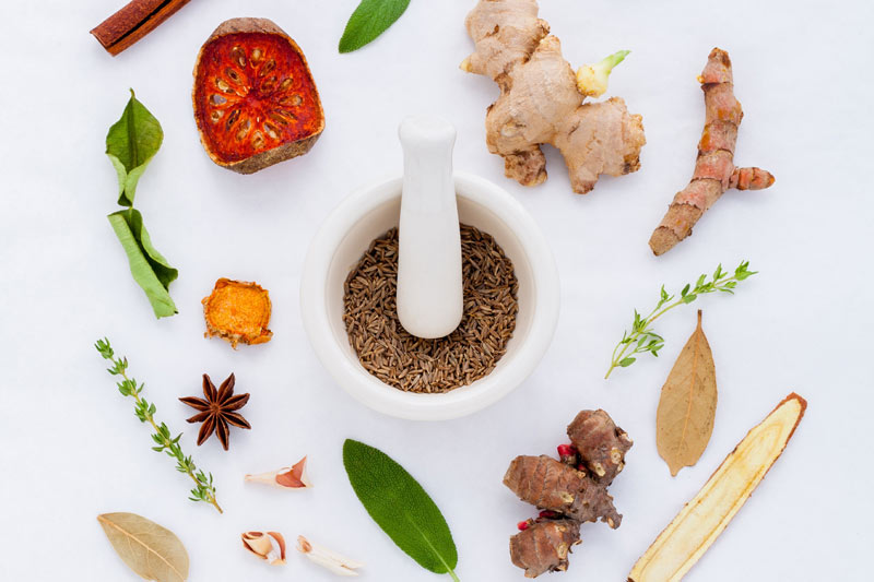 Herbal Medicine: What They Are and the Top Performers