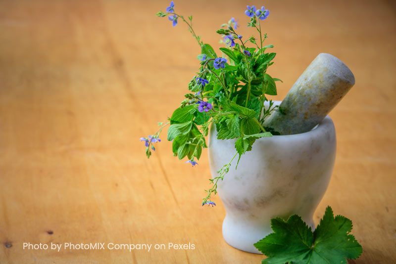 Herbal Medicine and Acupuncture: How They Can Benefit You